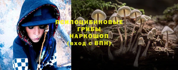 герыч Вязьма
