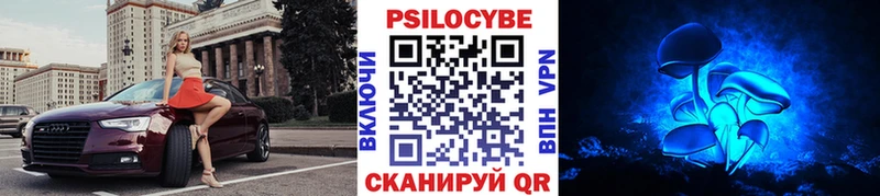 где найти наркотики  Новочебоксарск  Галлюциногенные грибы GOLDEN TEACHER 